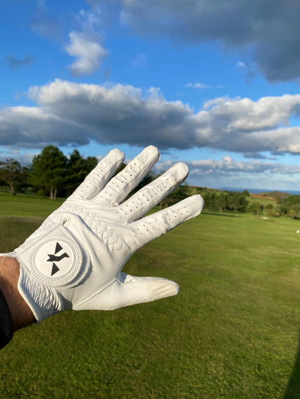 Condor Leather Golf Glove