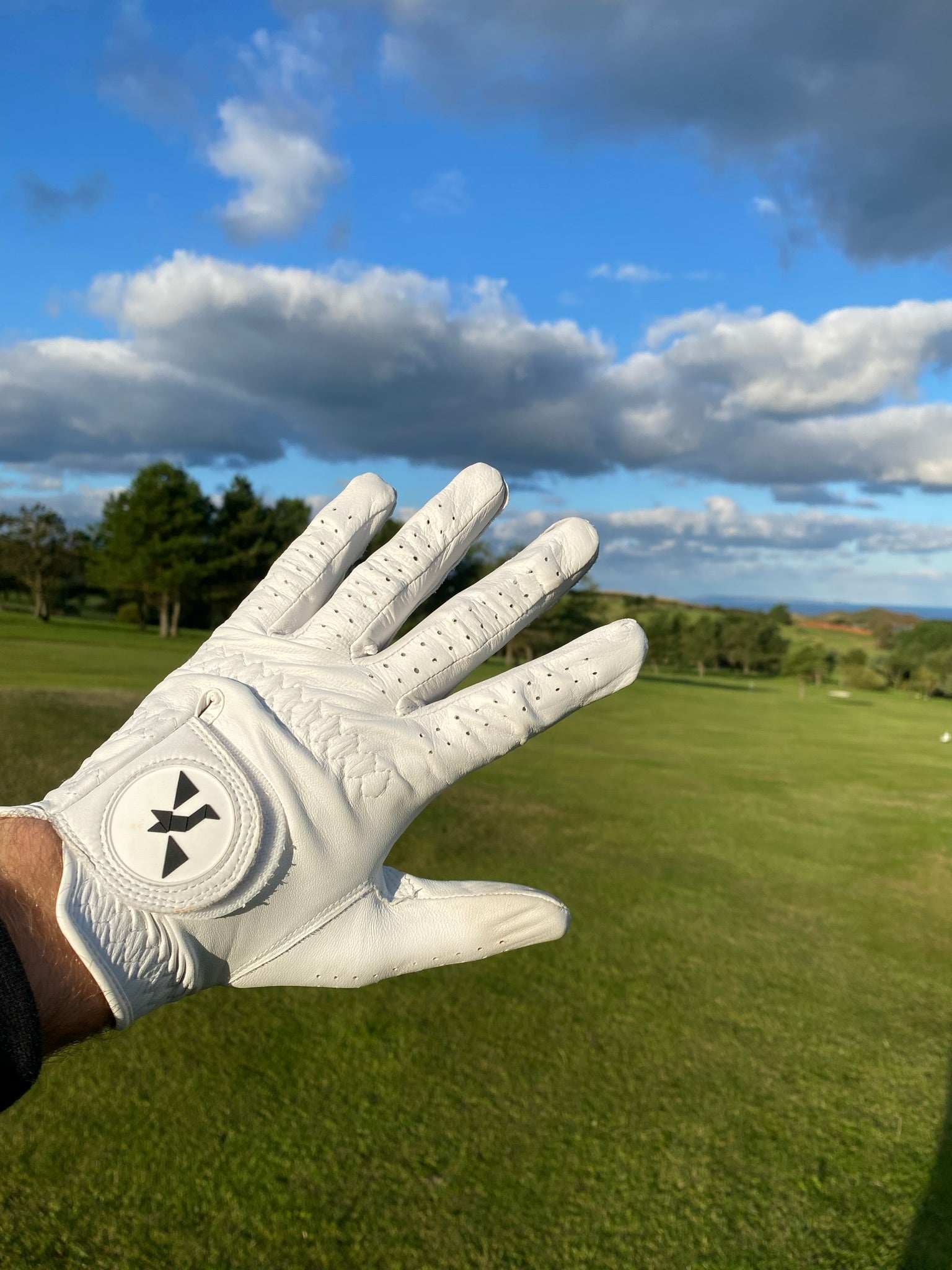 Condor Leather Golf Glove